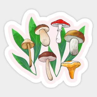 various realistic mushrooms Sticker